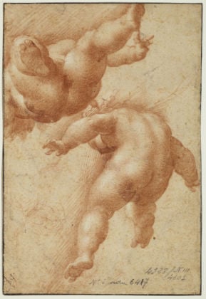 Parmigianino, Studio di due putti che volano - Musée du Louvre, Parigi