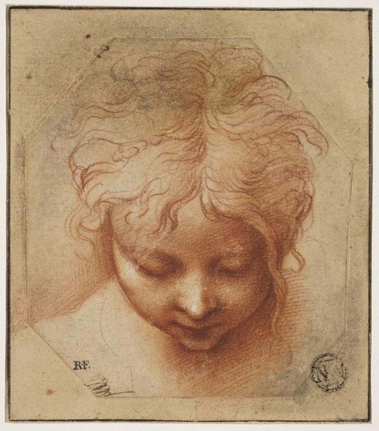 Parmigianino, Testa di un bambino - Musée du Louvre, Parigi