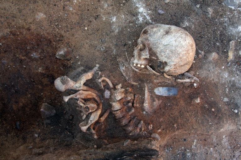 Resti rinvenuti a Gross Fredenwalde Il mistero dell’uomo sepolto in piedi. Sorprese dagli scavi archeologici in un sito mesolitico in Germania: c'è anche il corpo di un bambino completamente coperto di ocra