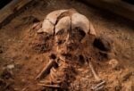 Resti rinvenuti a Gross Fredenwalde Il mistero dell’uomo sepolto in piedi. Sorprese dagli scavi archeologici in un sito mesolitico in Germania: c'è anche il corpo di un bambino completamente coperto di ocra