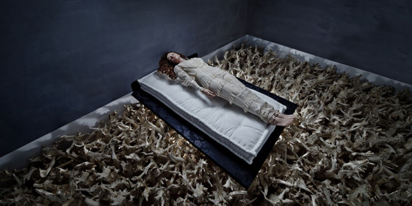 Tania Brassesco & Lazlo Passi Norberto, Sleeping Beauty, 2011