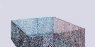 Zhang Zhan, Cubes with loopholes,2015