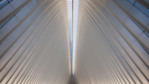 La nuova stazione di Santiago Calatrava al World Trade Center di New York. Le immagini del Transportation Hub
