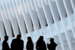 Il World Trade Center Transportation Hub di Santiago Calatrava a New York La nuova stazione di Santiago Calatrava al World Trade Center di New York. Le immagini del Transportation Hub