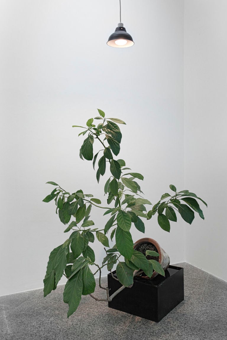 Michel Blazy – Living Room - installation view at Museo MAN, Nuoro 2016