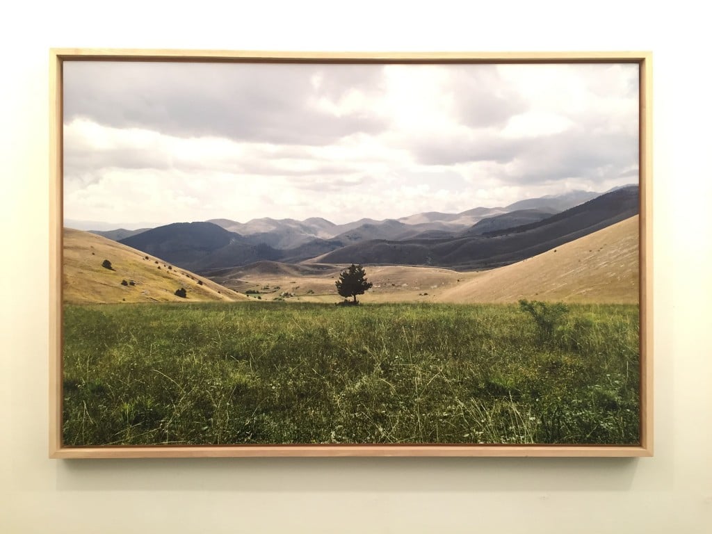 Tra natura e artificio. Simone Cametti a Roma