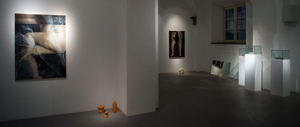 Tatiana Villani – Körperland – installation view at Galleria Passaggi, Pisa 2016 – photo Dania Gennai