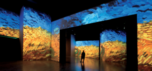 Entrare dentro un van Gogh. A Torino notti stellate e girasoli del pittore olandese si animano grazie alla tecnologia Sensory4