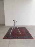 Can I Step On It? - installation view at Galleria Franco Noero, Torino 2016 - Darren Bader