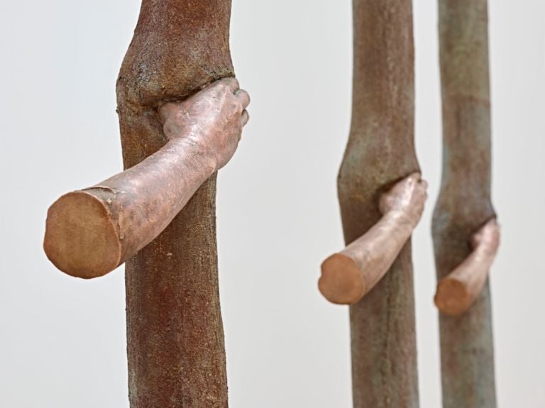 Giuseppe Penone, Trattenere 6 anni di crescita (continuerà a crescere tranne che in quel punto), 2004-10, coll. privata-- Trattenere 8 anni …, 2004-12, coll. privata - Trattenere 12 anni …, 2004-16, coll. privata - photo Mart, Archivio fotografico e mediateca/Carlo Baroni