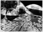 Mario Giacomelli, da Presa di coscienza sulla natura, 1977-2000 - Campagna marchigiana - courtesy Archivio Mario Giacomelli, Senigallia