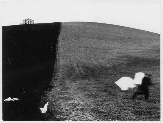 Mario Giacomelli, da Presa di coscienza sulla natura, 1977-2000 - Campagna marchigiana - courtesy Archivio Mario Giacomelli, Senigallia
