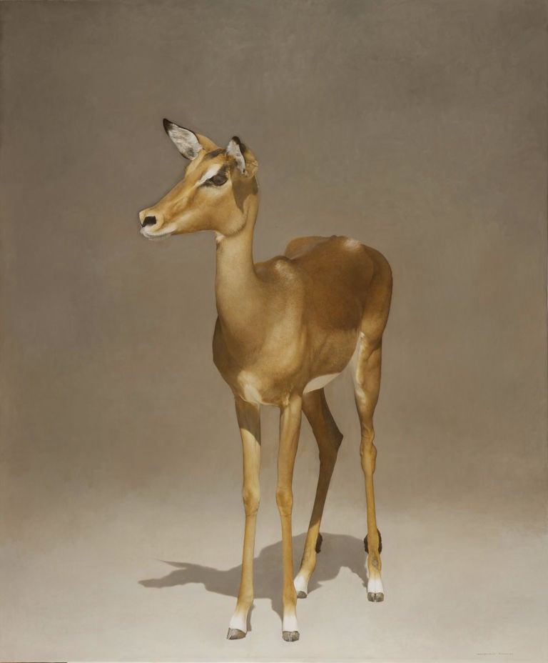 Marzio Tamer, Impala, 2015