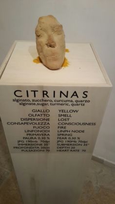 Monica Casalino – La pelle al limen - installation view at Museo Nuova Era, Bari 2016