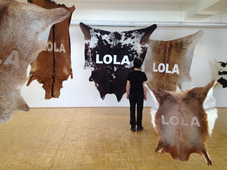 Stefano Cagol, The Cow Lola, 2010
