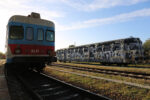 2 Lek Sowat A streetcar named desire for Villa Medici and Capo dArte Un treno d'artista, un omaggio a Duchamp. Spettacolari immagini dell'intervento dei graffitisti Lek & Sowat in Salento: da Villa Medici a Capo d’Arte