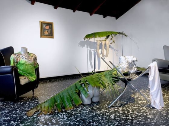 Arianna Carossa - Limoni - installation view at Casa Museo Jorn, Albissola Marina 2016