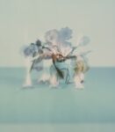 Christian Martinelli dalla serie StillLife dettaglio 2016 A Merano inaugura 00A, nuovo spazio dedicato alla fotografia. In anteprima le immagini della galleria con i calchi proteiformi di Christian Martinelli