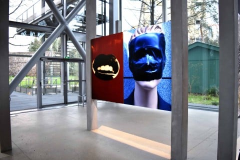 Daido Moriyama – Daido Tokyo installation views at Fondation Cartier, Parigi 2016 - photo Claudia Brivio