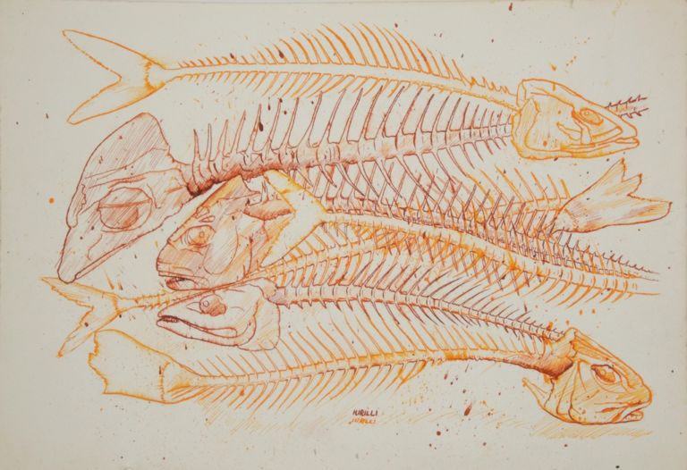 Iginio Iurilli, Oggi ho mangiato pesce, 2015