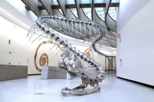 Dal Museo Maxxi di Roma al Grand Palais di Parigi, il serpente di Huang Yong Ping è protagonista di Monumenta 2016. Ecco il trailer della mostra
