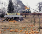 Magical Surfaces - Joel Sternfeld - Parasol Unit, Londra 2016