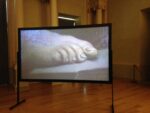 Masbedo Fragile Musei Reali Galleria Sabauda Torino 7 L’arte Fragile dei Masbedo. Nuovo video del duo alla Galleria Sabauda di Torino. La pinacoteca dei Musei Reali si apre al contemporaneo