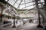 Monumenta 2016 - Huang Yong - Grand Palais, Parigi 2016 - photo Hassene Hamaoui