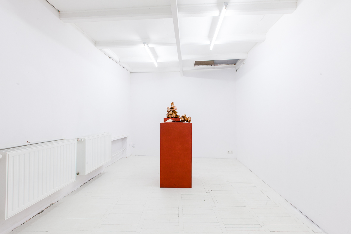 Olga Micińska – to pragma – veduta della mostra presso la Galleria Starter, Varsavia 2016 – photo Przemysław Nieciecki:PION