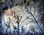 Pierpaolo Miccolis – Boscoselva - Galleria BLUorG, Bari 2016