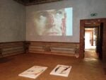 Spoleto contemporanea – Rilievi biologici - Palazzo Collicola Arti Visive, Spoleto 2016