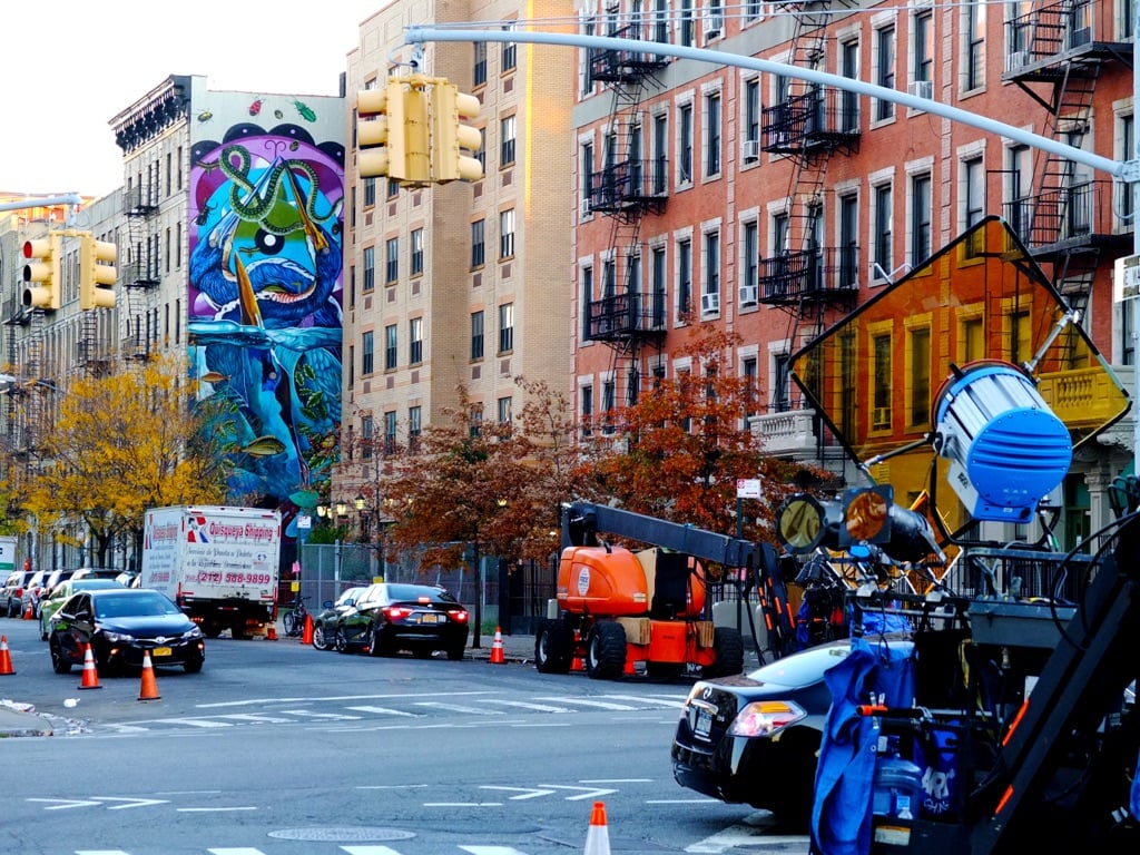 The Audubon Mural Project, Harlem, New York City - Iena Cruz