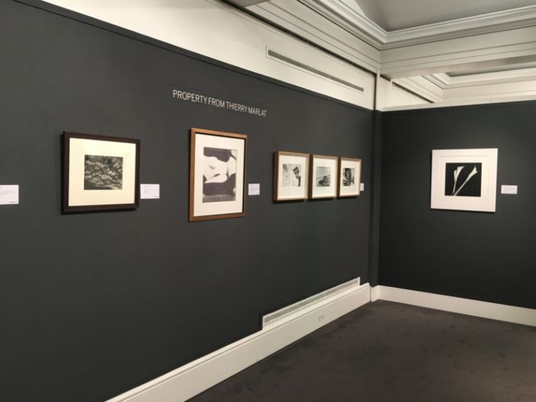 aste Sothebys Londra 3 Più ombre che luci per le aste di fotografia a Londra. Bene Irving Penn da Sotheby's, benissimo Peter Beard da Christie's: ecco il report