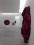 Anish Kapoor - Casamadre - Veduta parziale della mostra - Photo Diana Gianquitto 1