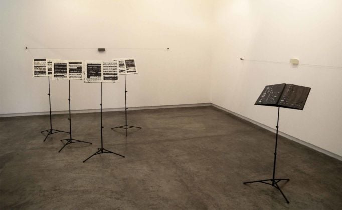 Chiara Banfi, Palpitaciones, 2016, exhibition view, Carmen Araujo Arte, Caracas