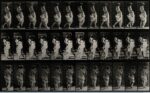 Eadweard Muybridge, A woman carrying a child, 1887, 21 x 34,5 cm, Wellcome Library di Londra