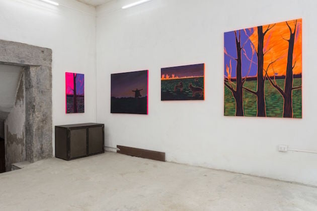 George A. Bidmead – Wild Feats - installation view at Galleria Dino Morra, Napoli 2016