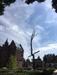 Giuseppe Penone, installazione nei giardini del Rijksmuseum Amsterdam