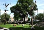 Giuseppe Penone, installazione nei giardini del Rijksmuseum Amsterdam