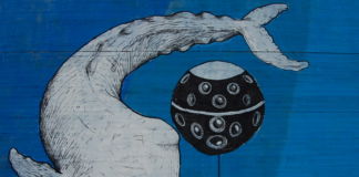Il murale di Poki all'Istituto Nazionale di Fisica Nucleare, Catania 2016 - photo Elena Bonaccorsi