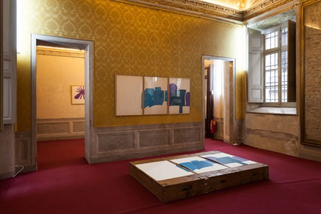 Rossella Carpino - installation view at Palazzo Barolo, Torino 2016 - photo © Ivan Catalano