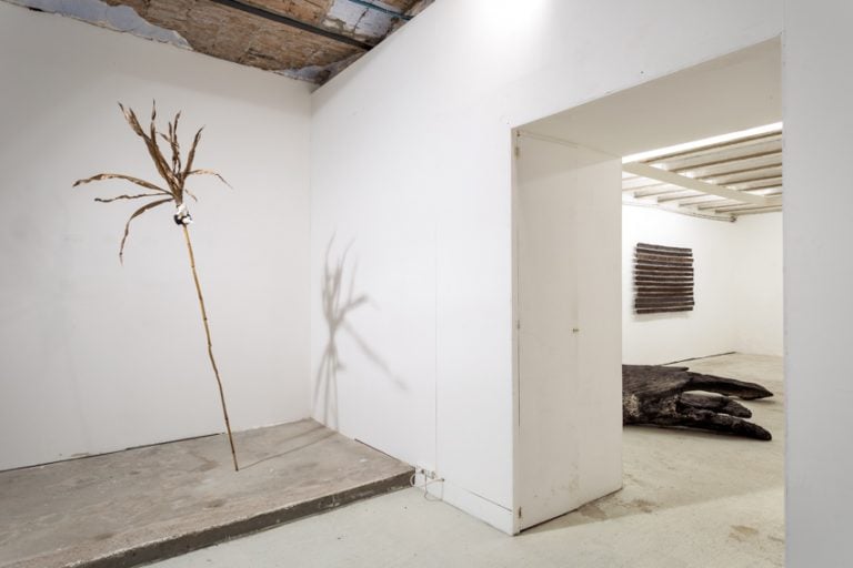 Silvano Tessarollo – Nulla nasce dal nulla - installation view at Galleria Michela Rizzo, Venezia 2016