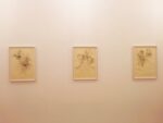 David Schutter – Pergamena - installation view at Magazzino, Roma 2016