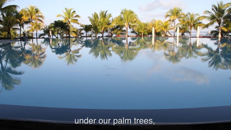 Mati Jhurry, Like Pools on a Tropical Island, 2015 - still da video - courtesy of the artist