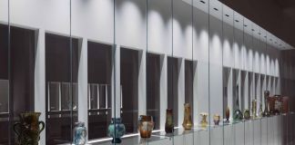 Organismi - installation view at GAM, Torino 2016 - photo Marco Robino