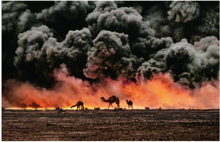 Steve McCurry, Cammelli vicino ai pozzi di petrolio in fiamme. Al-Ahmadi, Kuwait, 1991 - Photographs Copyright © 2016, Steve McCurry
