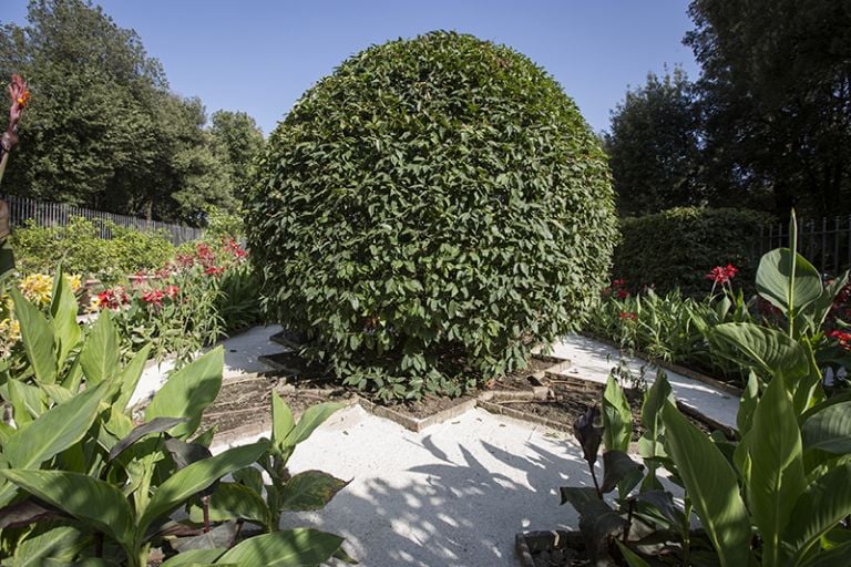 Roma, Villa Borghese, Giardino segreto di Tramontana © Simona Caleo