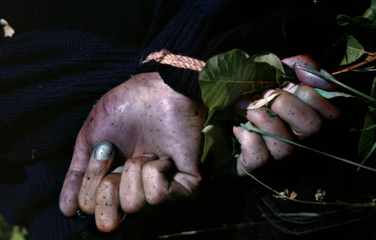 PJ Harvey e Seamus Murphy, The Hands of a Man Executed in Bernjake/ Brnjaka, between Fortese/Bela Crkva and Rahovec/Orahevac, in June 1999. Courtesy of the artists - Rencontres d'Arles 2016