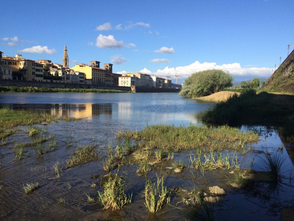 Firenze ricorda l’alluvione e sul Lungarno appare un giardino di 10.000 metri quadrati