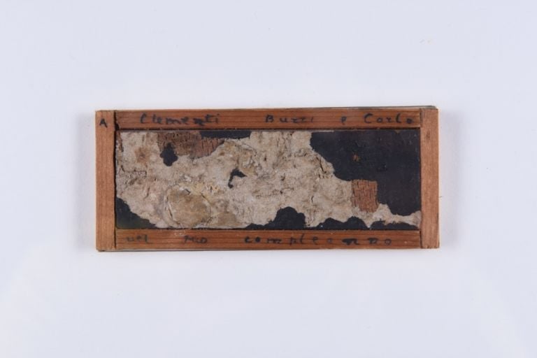 Alberto Burri, Muffa, 1951 - Courtesy Galleria delle Arti di Luigi Amadei, Città di Castello